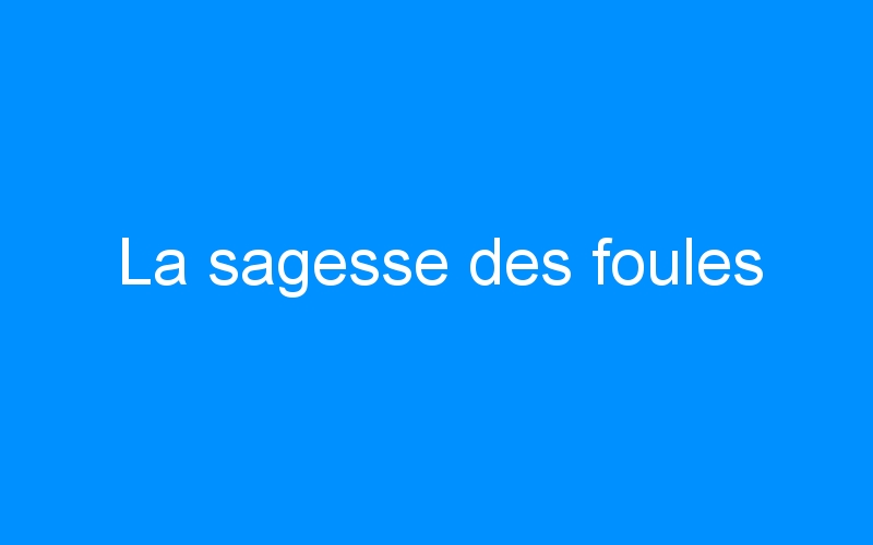 You are currently viewing La sagesse des foules