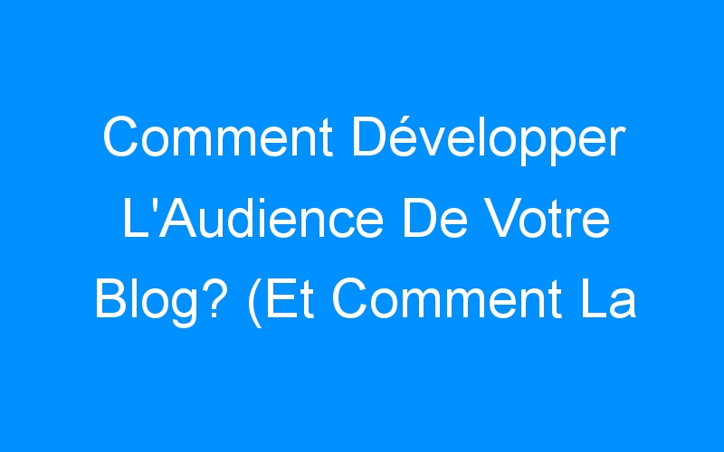 You are currently viewing Comment Développer L'Audience De Votre Blog? (Et Comment La Garder)
