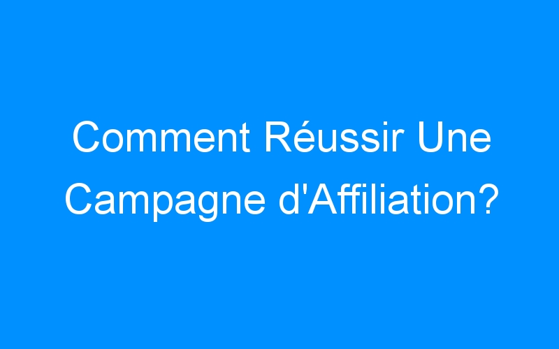 Lire la suite à propos de l’article Comment Réussir Une Campagne d'Affiliation?