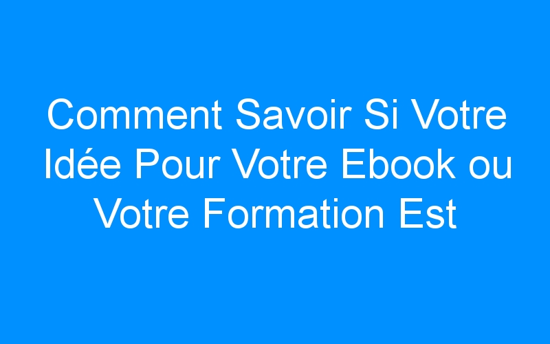 You are currently viewing Comment Savoir Si Votre Idée Pour Votre Ebook ou Votre Formation Est Rentable?