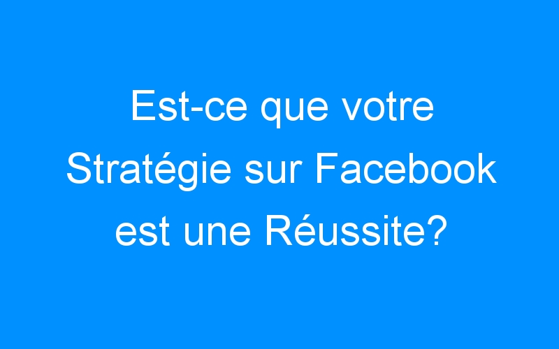 Lire la suite à propos de l’article Est-ce que votre Stratégie sur Facebook est une Réussite?