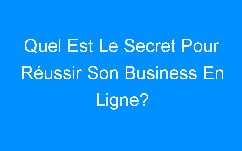 Lire la suite à propos de l’article Quel Est Le Secret Pour Réussir Son Business En Ligne?